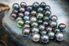 Colors of Tahitian Black Pearls in a Oyster